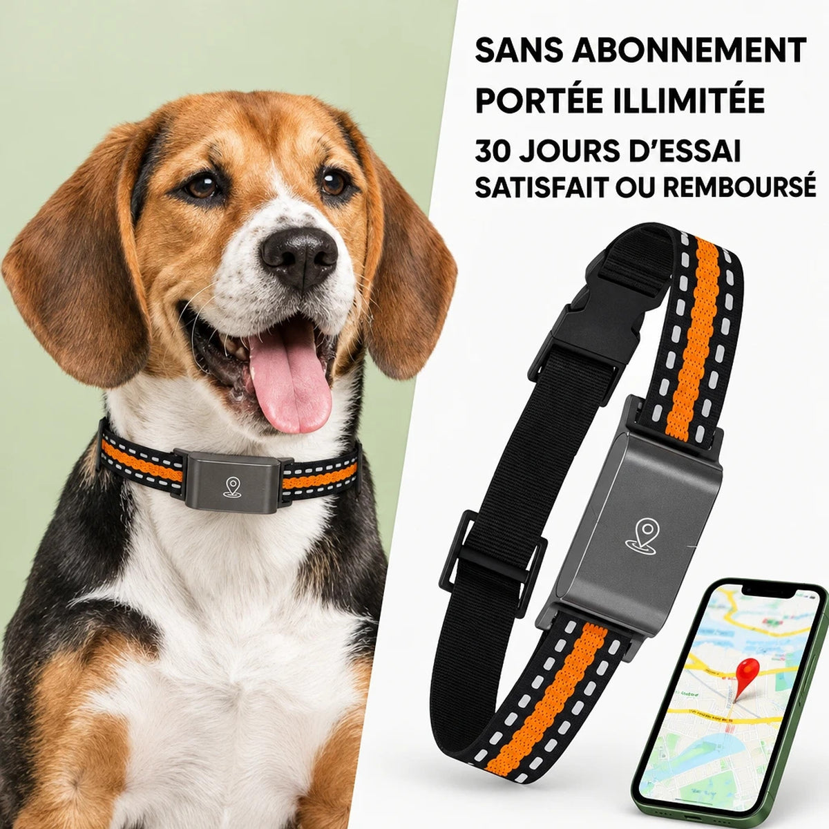 Traquis – Collier GPS Chien