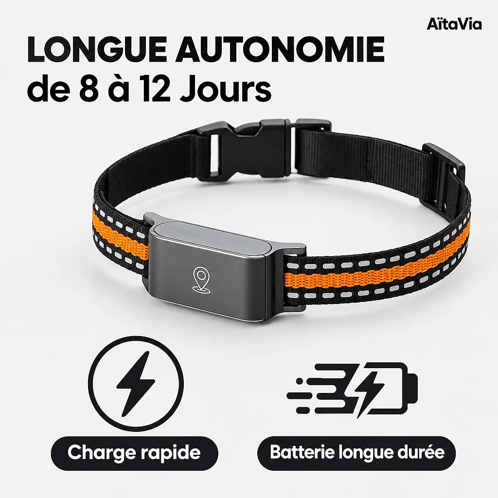 Traquis – Collier GPS Chien