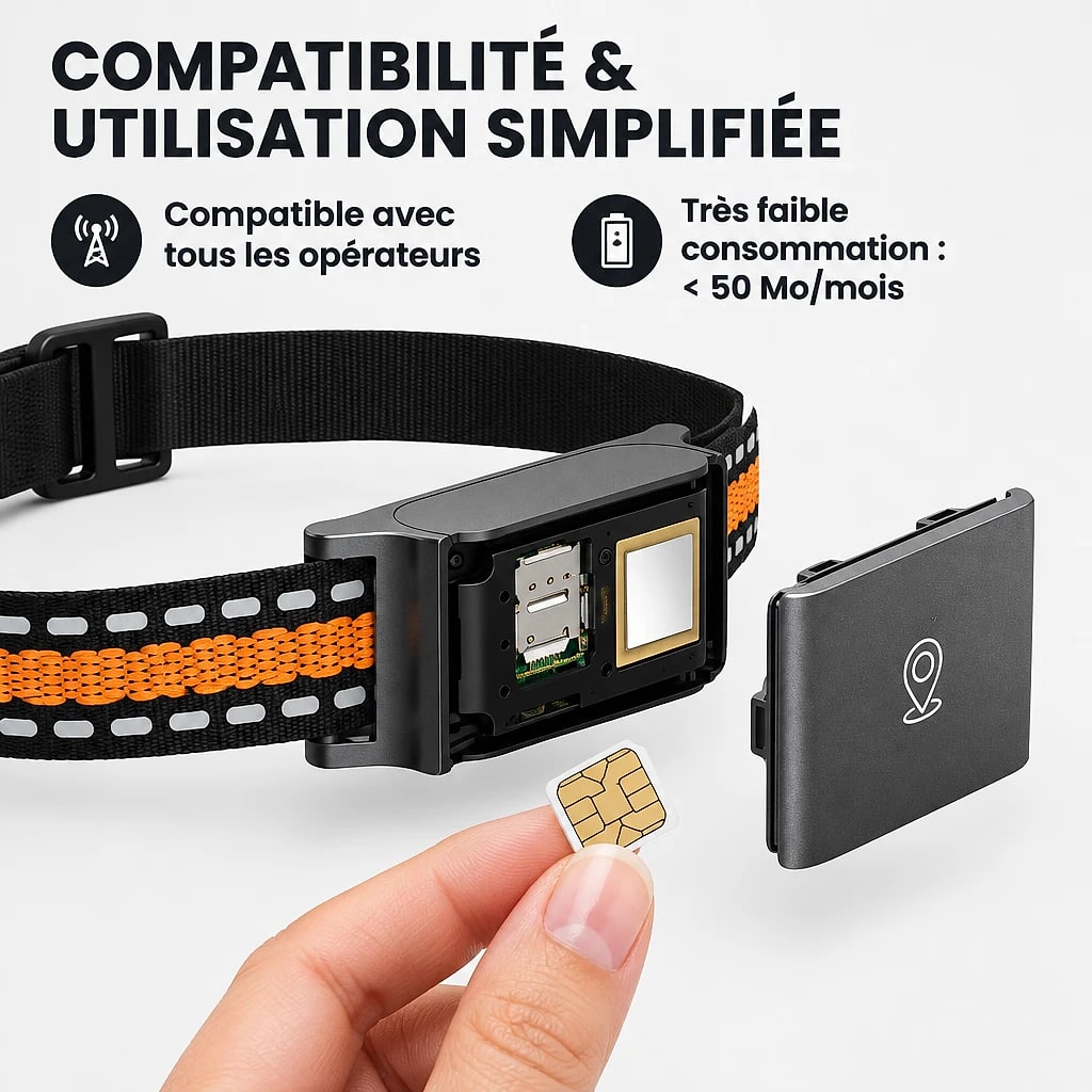 Traquis – Collier GPS Chien