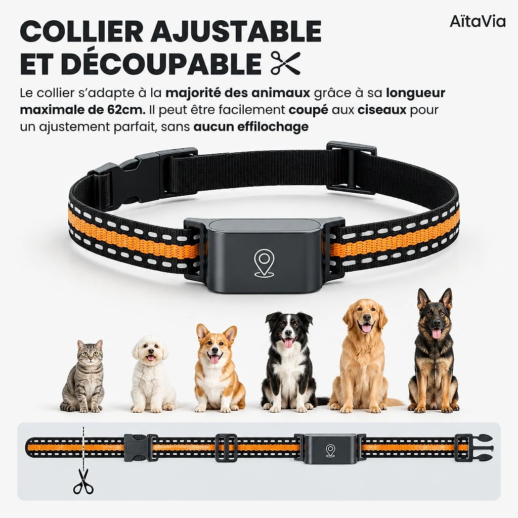 Traquis – Collier GPS Chien