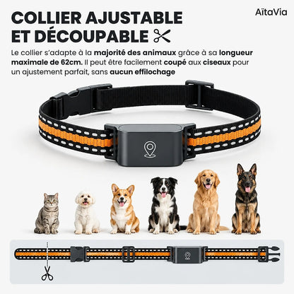 Traquis – Collier GPS Chien