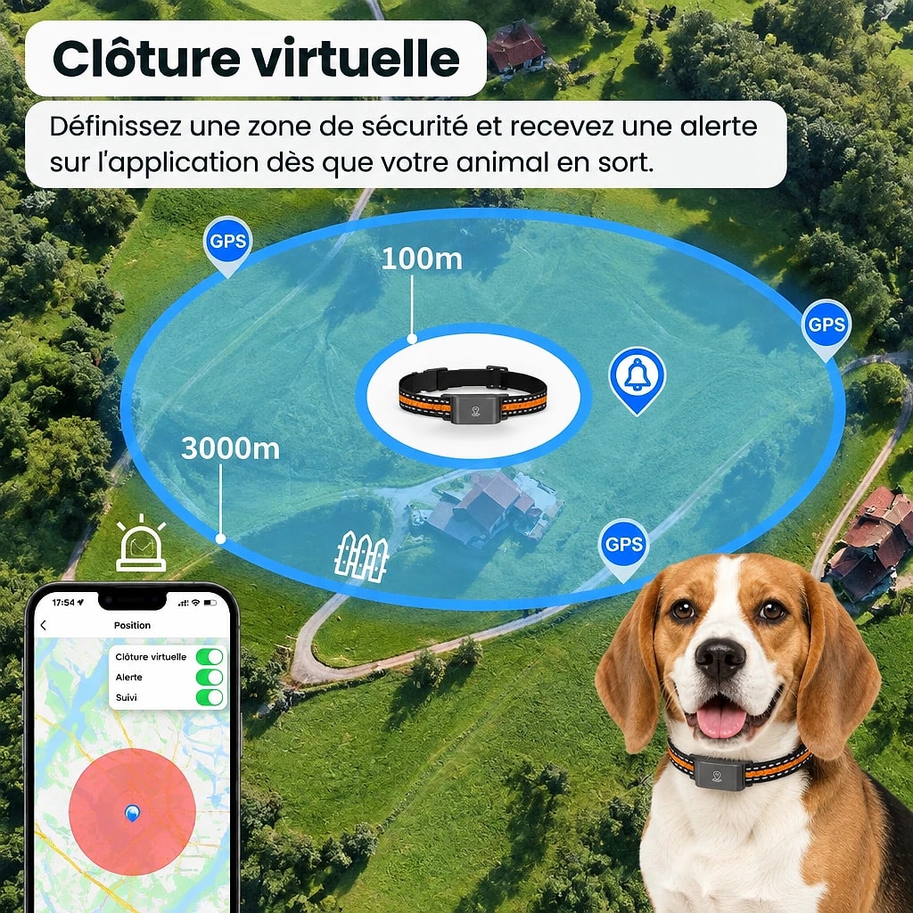 Traquis – Collier GPS Chien