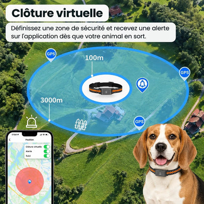Traquis – Collier GPS Chien