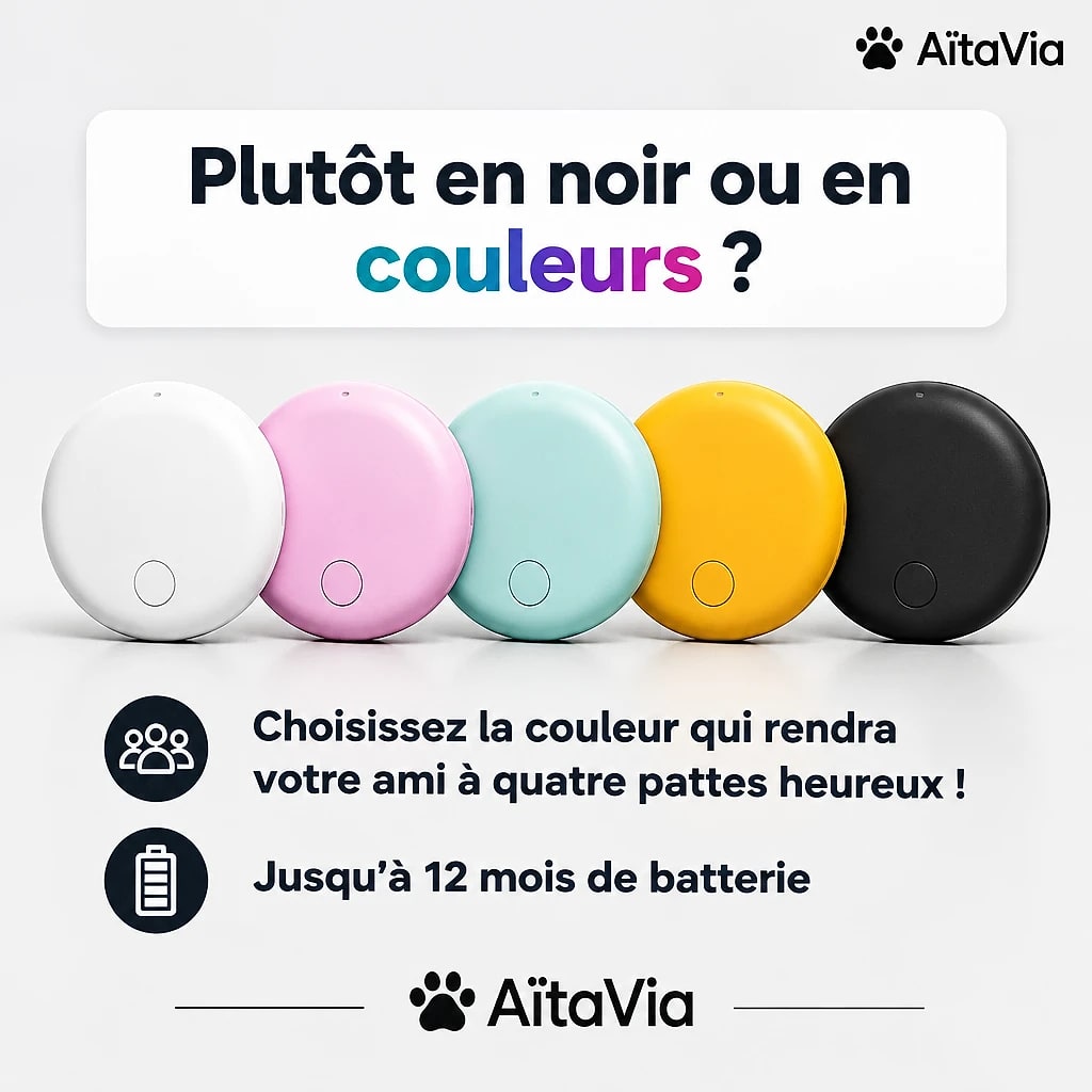 Veilio – Traceur GPS pour Chien