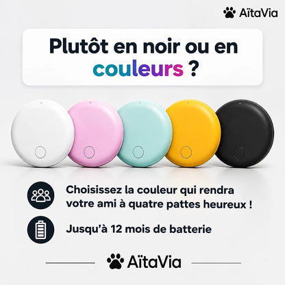 Veilio – Traceur GPS pour Chien