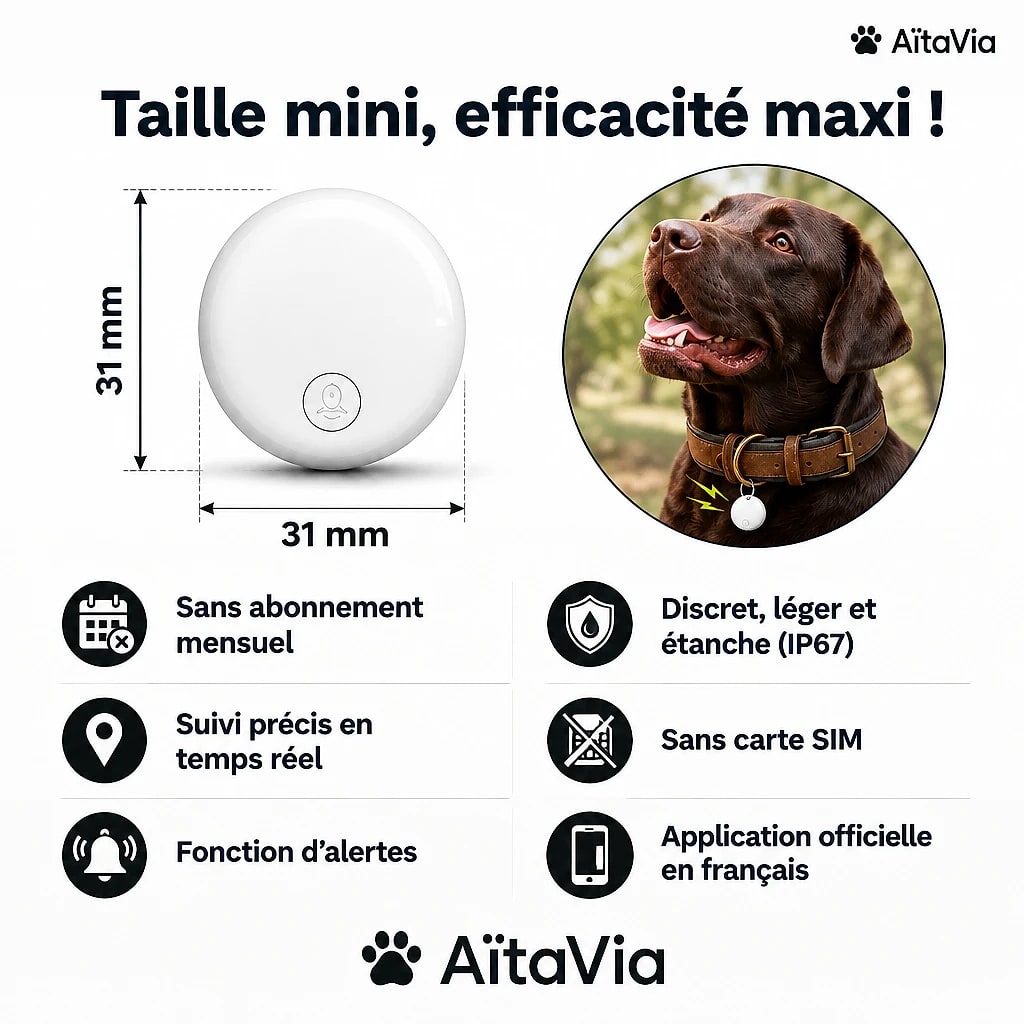 Veilio – Traceur GPS pour Chien